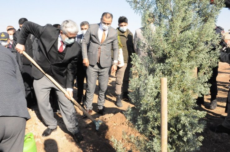 Vali Aydoğdu: “Ağaç hepimizi birleştiriyor”