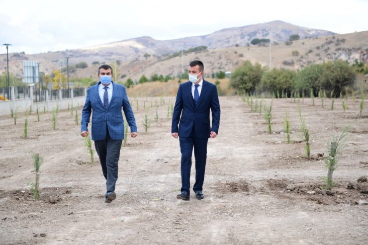 Altındağ’a bir orman daha