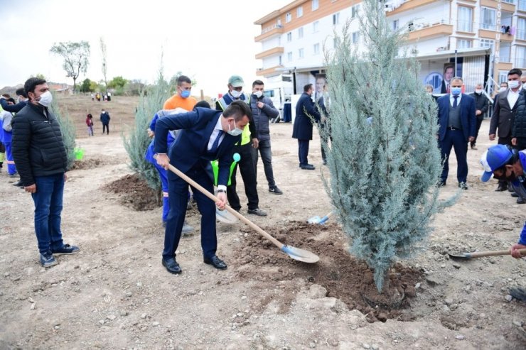 Altındağ’a bir orman daha