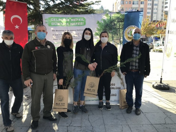 Kızılcahamam’da 35 bin fidan toprakla buluştu