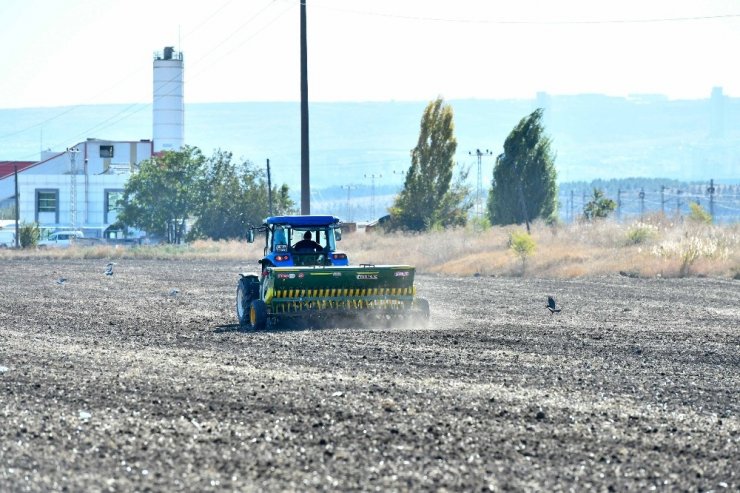 Atatürk Orman Çiftliği’nde yeniden tarım yapılmaya başlandı