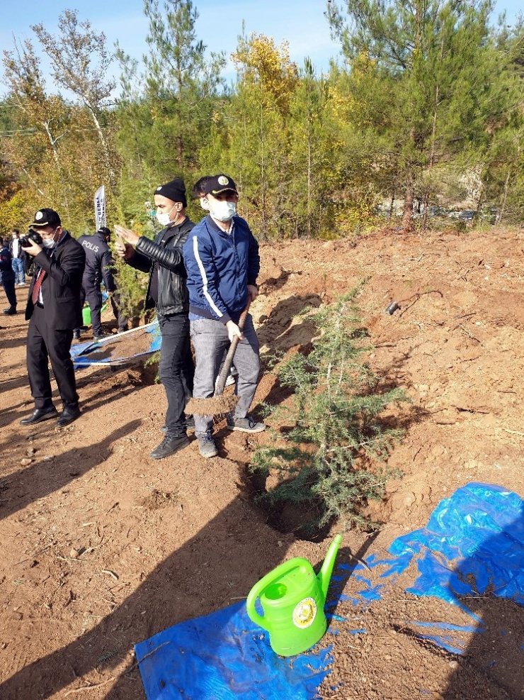 5 bin fidan toprakla buluştu