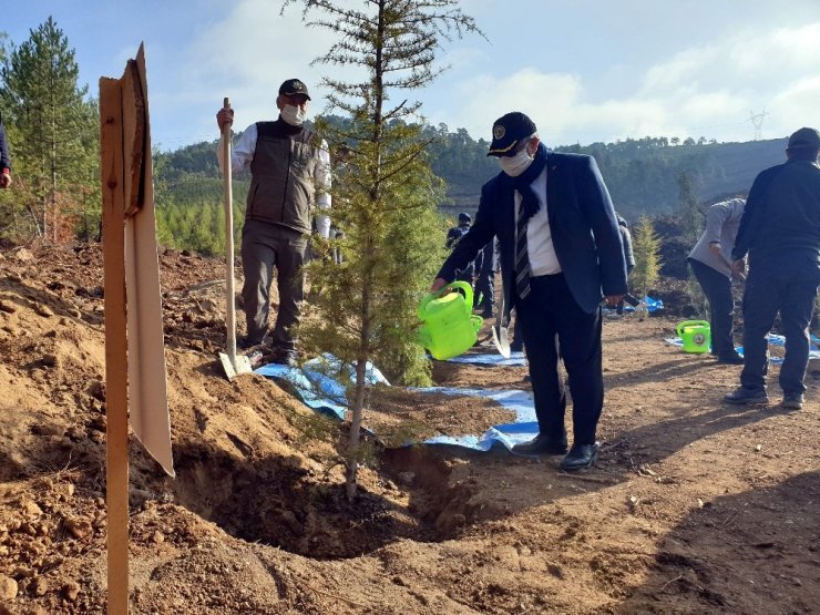 5 bin fidan toprakla buluştu