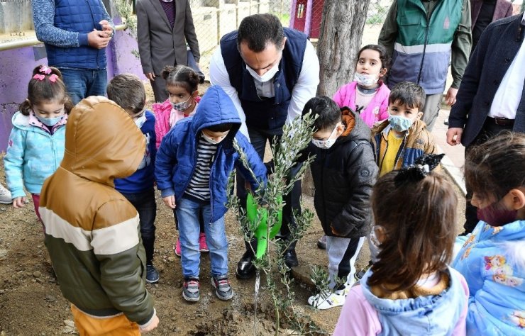 Beyoğlu’ndan tüm İstanbul’a yayılan ‘Zeytin Ağacı Dikme’ kampanyası