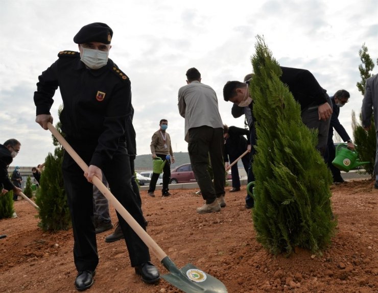Bilecik’te ’’11 Kasım Milli Ağaçlandırma Günü’’nde 4 bin fidan toprakla buluştu