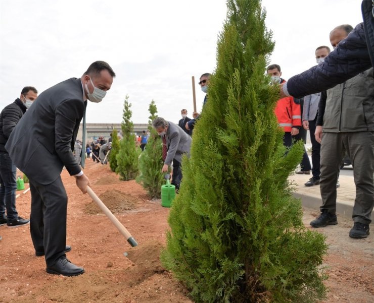 Bilecik’te ’’11 Kasım Milli Ağaçlandırma Günü’’nde 4 bin fidan toprakla buluştu