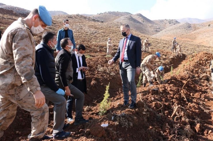 Hizan’da fidan dikimi