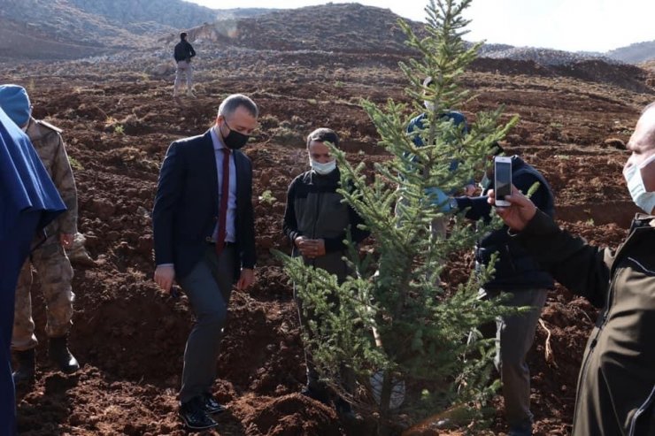 Hizan’da fidan dikimi