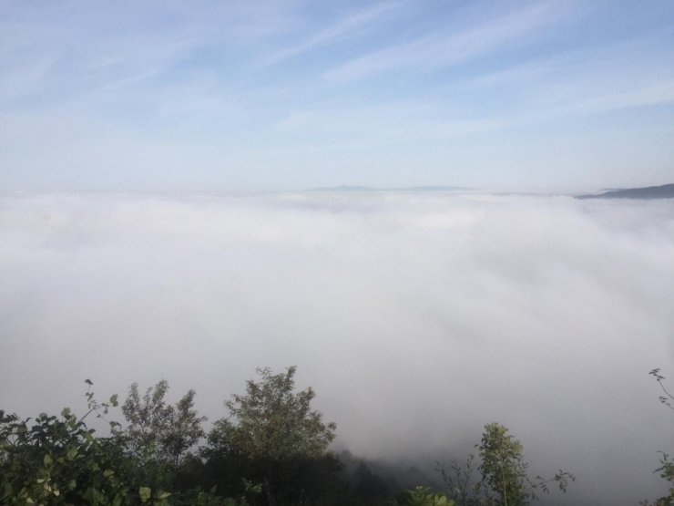 Sis çöken Bolu Dağında kartpostallık görüntüler oluştu