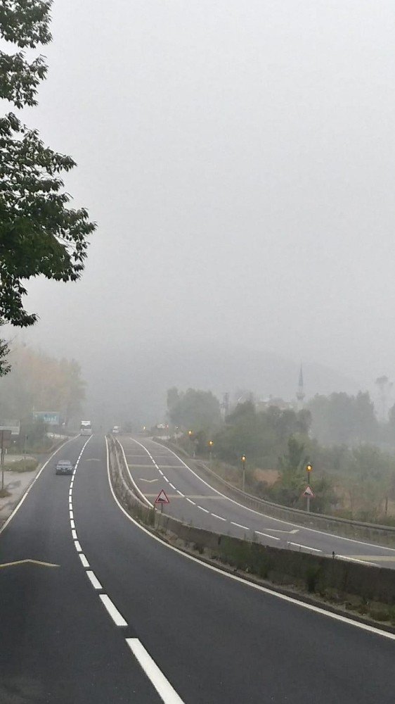 Sis çöken Bolu Dağında kartpostallık görüntüler oluştu