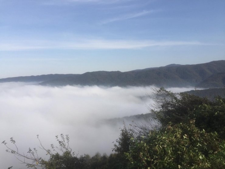 Sis çöken Bolu Dağında kartpostallık görüntüler oluştu