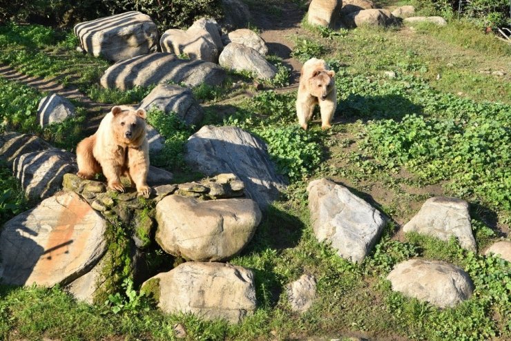 Bursa Hayvanat Bahçesi 22 yaşında