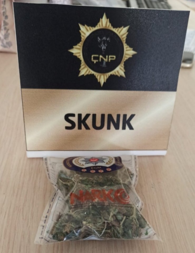 Çevre eylemine katılan karı koca uyuşturucu partisinde yakalandı
