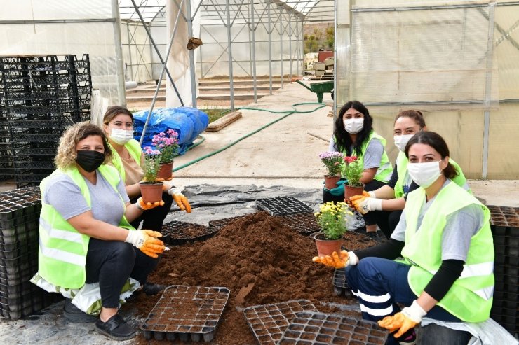 Çiğli Belediyesi kendi çiçeğini üretiyor