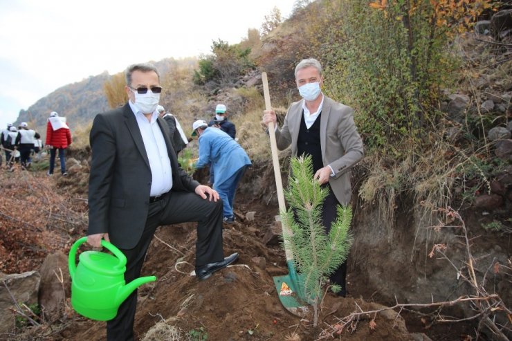 Hacılar’da bin 100 fidan toprakla buluştu