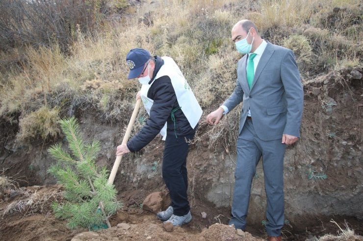 Hacılar’da bin 100 fidan toprakla buluştu