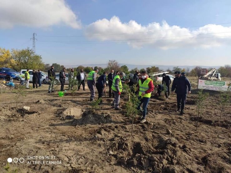 Şuhut’ta 500 fidan toprakla buluştu