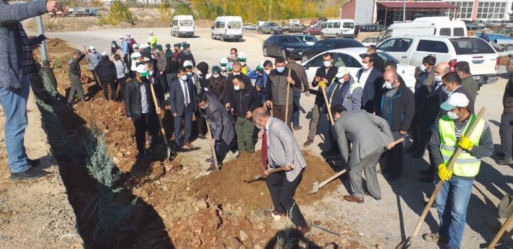 Malatya’da fidan dikimi