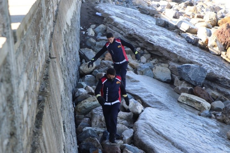 Yaralı martıya ilk müdahale başkan yardımcısından