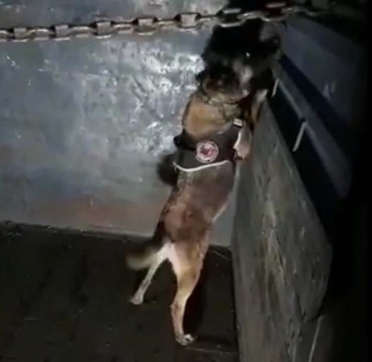 Elazığ’da 41 kilo 750 gram eroin ele geçirildi