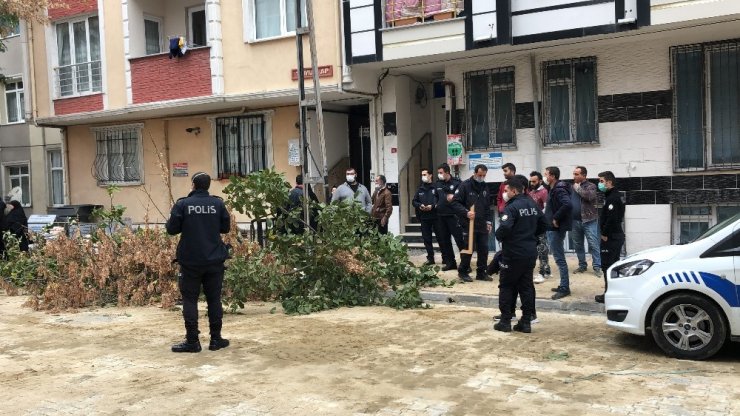 Esenyurt’ta izinsiz kesilen ağaç ortalığı savaş alanına çevirdi