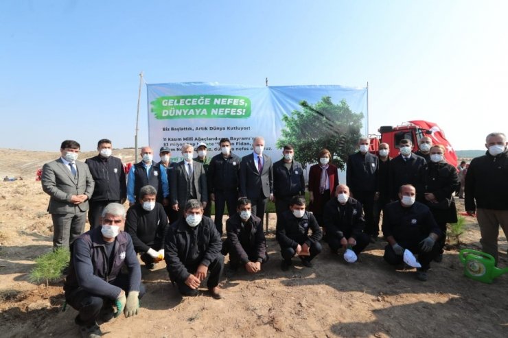 Gaziantep’te 4 milyon fidan toprakla buluştu