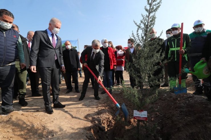 Gaziantep’te 4 milyon fidan toprakla buluştu