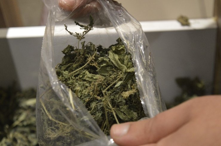 Hava soğudu, vatandaş aktarlara koştu