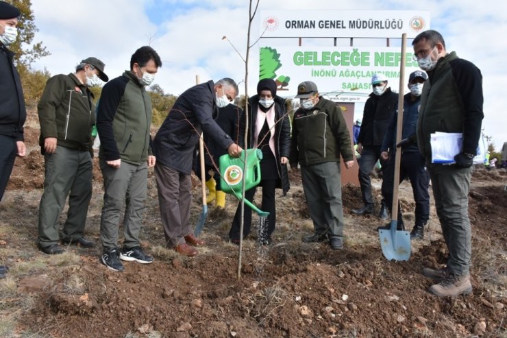 İnönü’de 8 bin fidan geleceğe nefes olacak