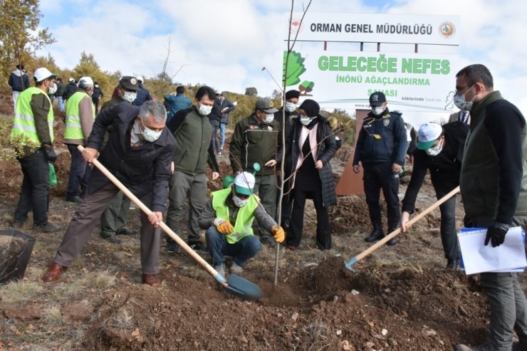 İnönü’de 8 bin fidan geleceğe nefes olacak