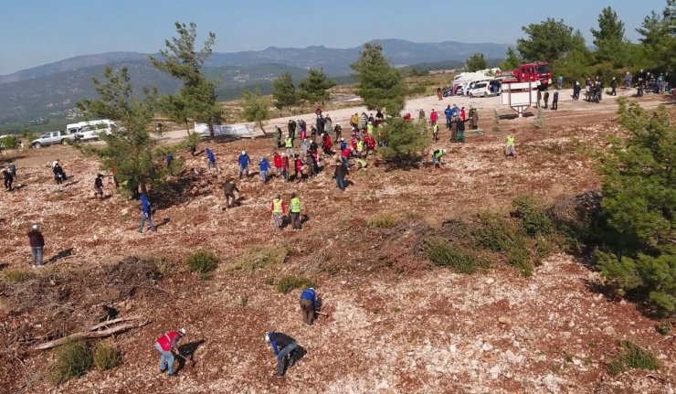 İzmir’de 30 noktada 20 bin fidan toprakla buluştu