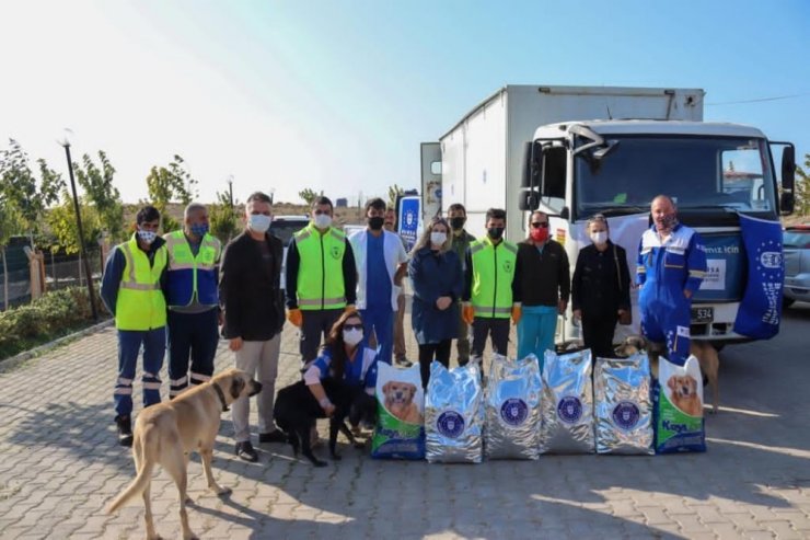 İzmir’deki can dostlar da unutulmadı