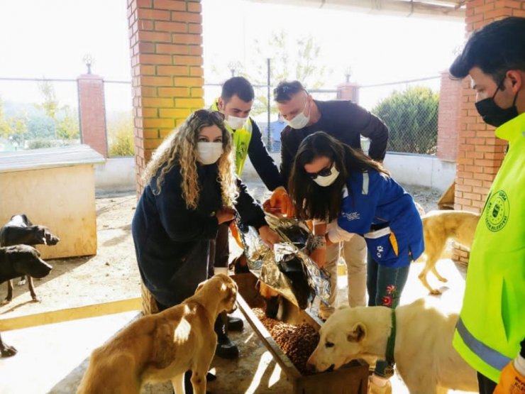 İzmir’deki can dostlar da unutulmadı