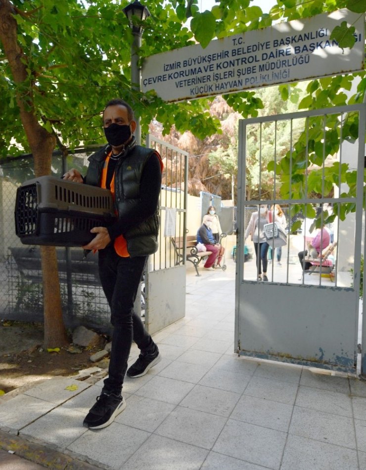 Depremzede kediyi Haluk Levent sahiplendi