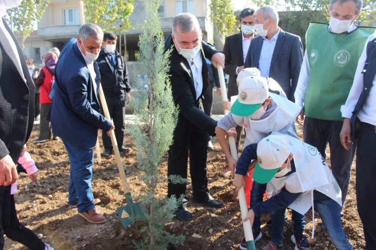 Kahta belediyesinden ağaç dikme etkinliği