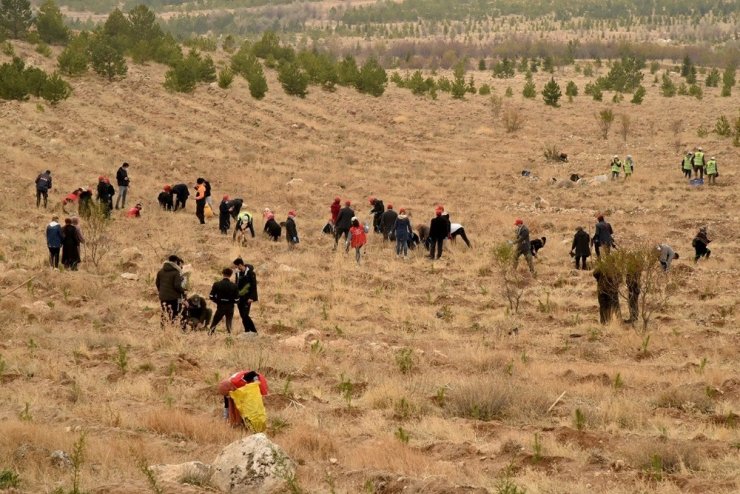 Karaman’da ağaçlandırma gününde 10 bin fidan toprakla buluştu
