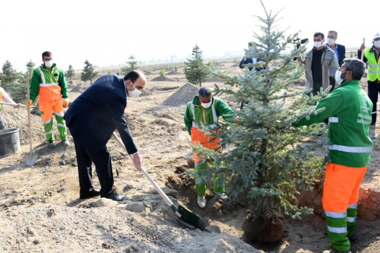 Başkan Altay: "Milli Ağaçlandırma Günü geleceğin Türkiyesi için çok önemli bir adım"
