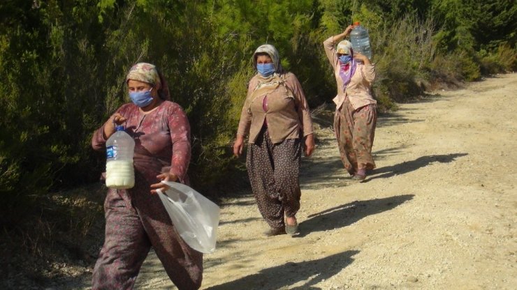 Antalya’da orman yangını
