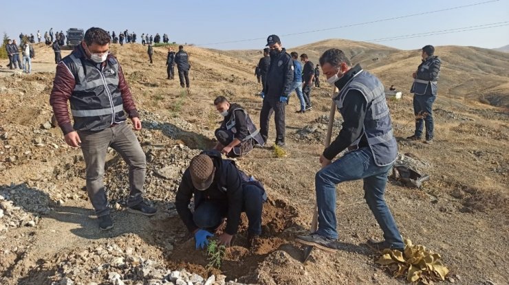 Malatya polisinden bin fidan