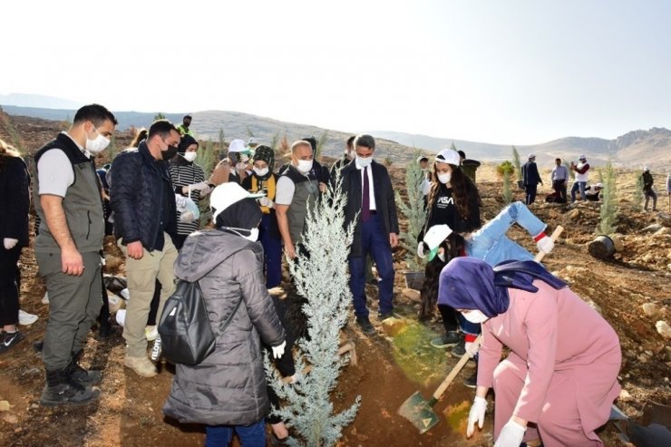 Malatya’da fidan dikimi