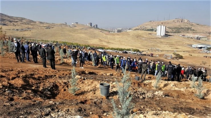 Malatya’da fidan dikimi
