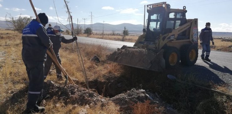Melikgazi’de dikilen yeni ağaçlar geleceğe nefes olacak