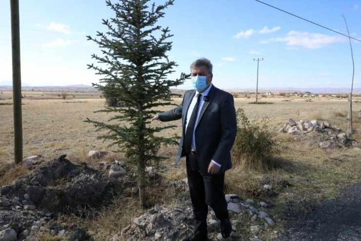 Melikgazi’de dikilen yeni ağaçlar geleceğe nefes olacak