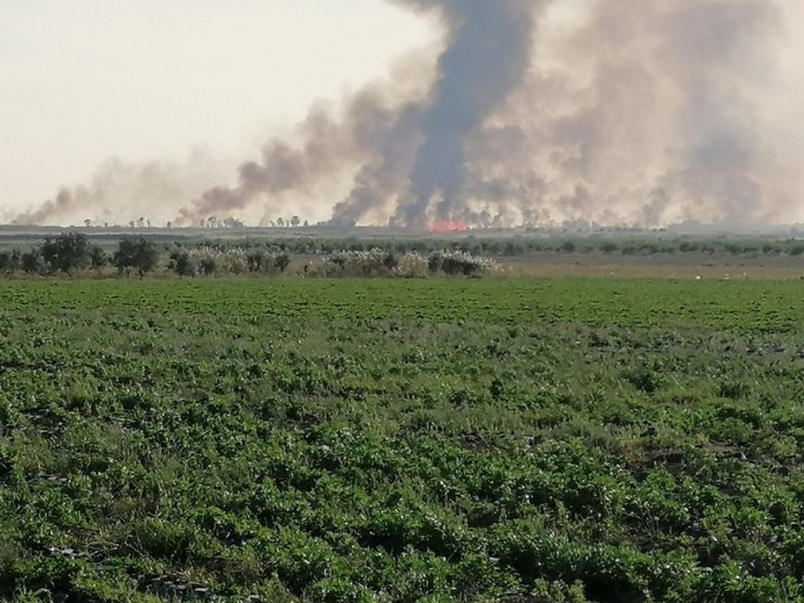Göksu Deltası’nda yangın