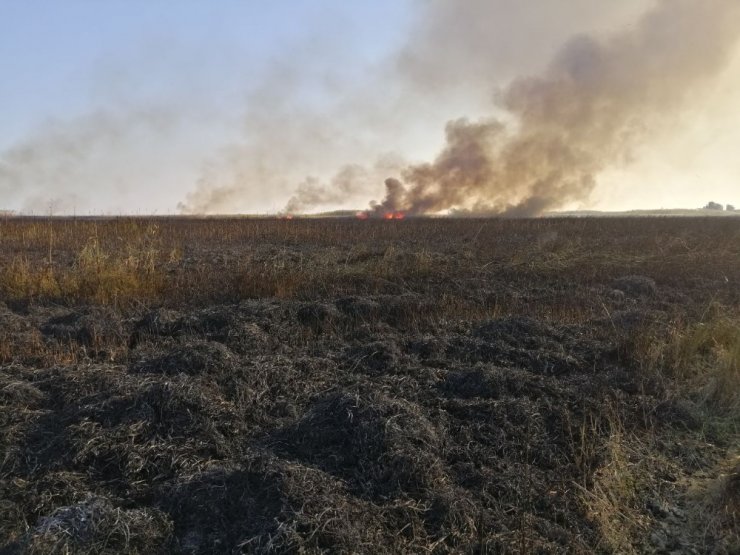 Göksu Deltası’nda yangın