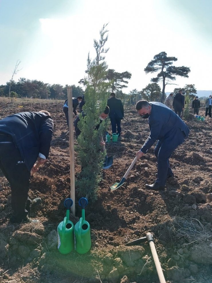 Ayvacık’ta yüzlerce fidan toprakla buluştu