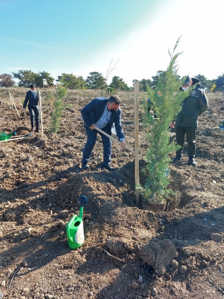 Ayvacık’ta yüzlerce fidan toprakla buluştu