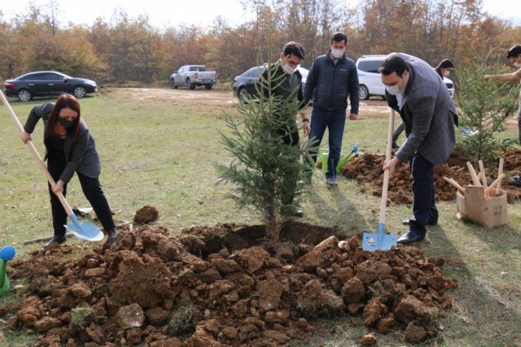 Pazaryeri’nde ’Milli Ağaçlandırma Günü’ etkinliği