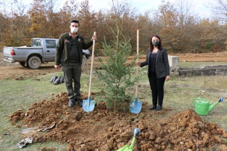 Pazaryeri’nde ’Milli Ağaçlandırma Günü’ etkinliği