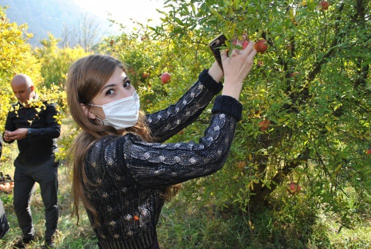 İstanbullu gençler Sarıcakaya da nar hasadı yaptı